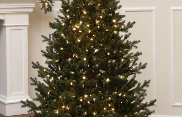 Full Spritzgussnadeln Künstlicher Weihnachtsbaum 350 LED-185 cm-Sherwood Spruce