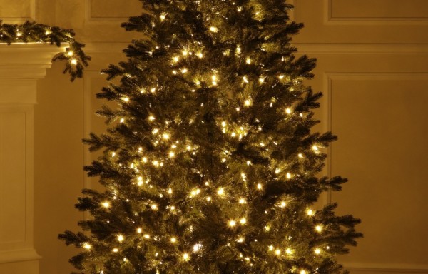 100% Spritzgussnadeln Künstlicher Weihnachtsbaum 600 LED-215 cm-Rocky Mountain