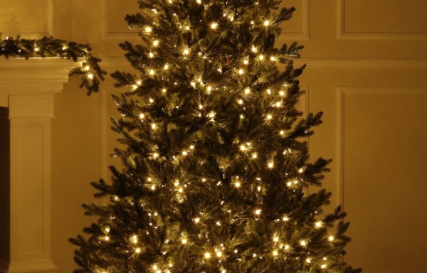 Full Spritzgussnadeln Künstlicher Weihnachtsbaum 500 LED-215 cm-Sherwood Spruce