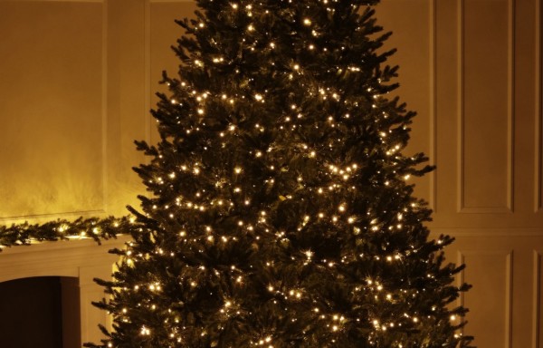 Full Spritzgussnadeln Künstlicher Weihnachtsbaum 1800 LED-365 cm-Sherwood Spruce
