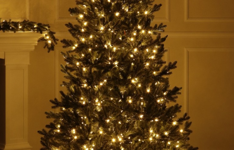 Full Spritzgussnadeln Künstlicher Weihnachtsbaum 500 LED-215 cm-Sherwood Spruce